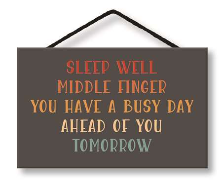 *Sign - SLEEP WELL MIDDLE FINGER - 8X5
