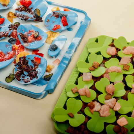 *Pet Toy - Spring Clover Foraging Mat