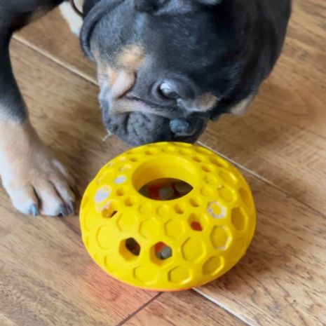 *Pet Toy - Natural Rubber Bee Hive Toy - 4"