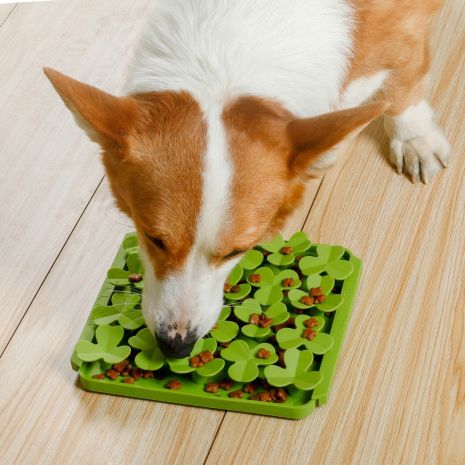 *Pet Toy - Spring Clover Foraging Mat