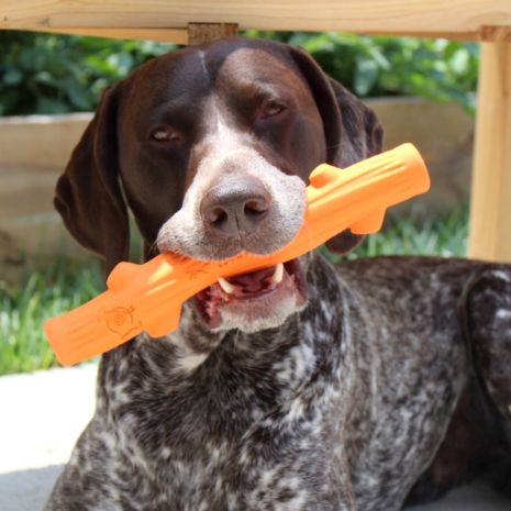 *Pet Toy - GOAT Fetch Stick, Orange - 10"