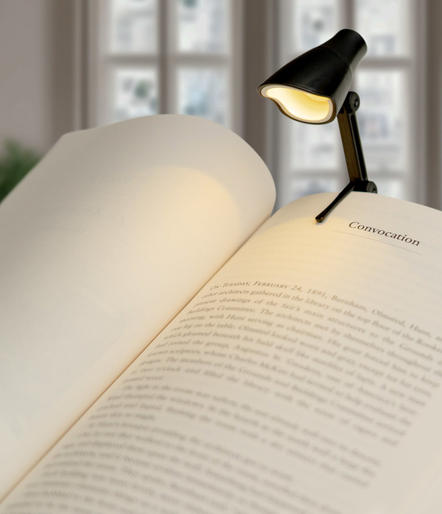 *Task & Booklight Mini LED Lamp