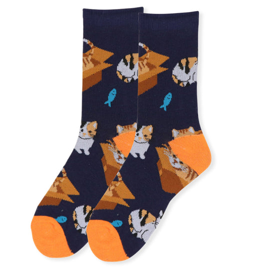 *Women's Novelty Cat In The Box Socks